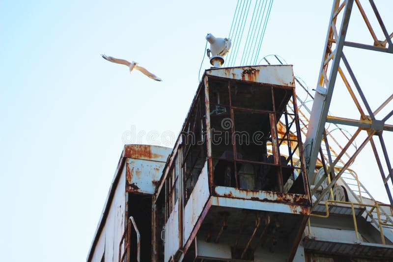 Big white seagull flying over a rusty steel structure stock photos Big white seagull flying over a rusty steel structure stock photos