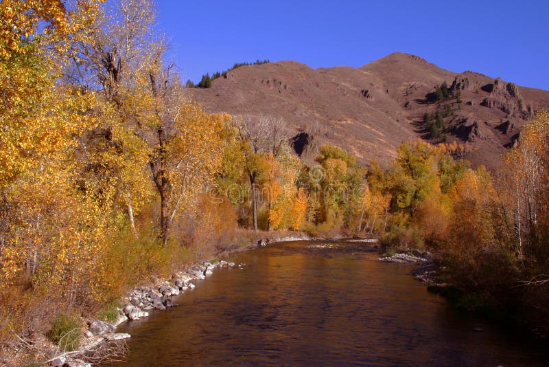 Baker Creek stock image. Image of rage, force, current 5356443