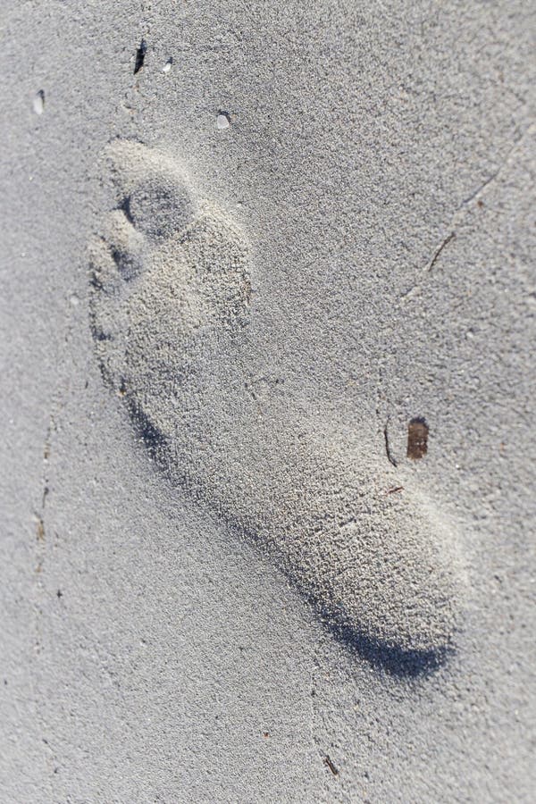 Bigfoot mold on the sand