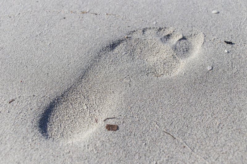 Bigfoot mold on the sand