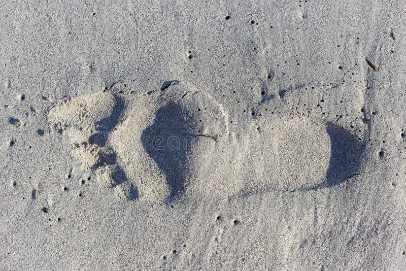 Bigfoot mold on the sand