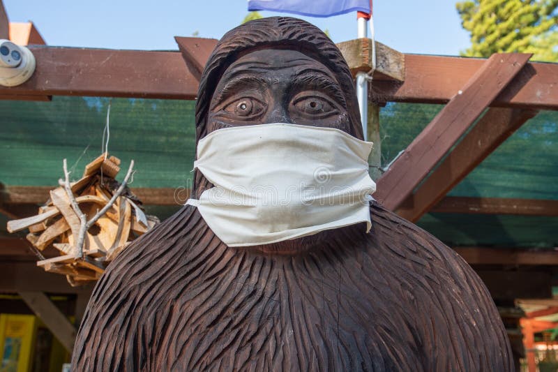 A wood sculpture of Sasquatch wearing a face covering as seen in Bigfoot country in Northern California during coronavirus outbreak in July 2020. Bigfoot is also know as being a social distancing champion. A wood sculpture of Sasquatch wearing a face covering as seen in Bigfoot country in Northern California during coronavirus outbreak in July 2020. Bigfoot is also know as being a social distancing champion.