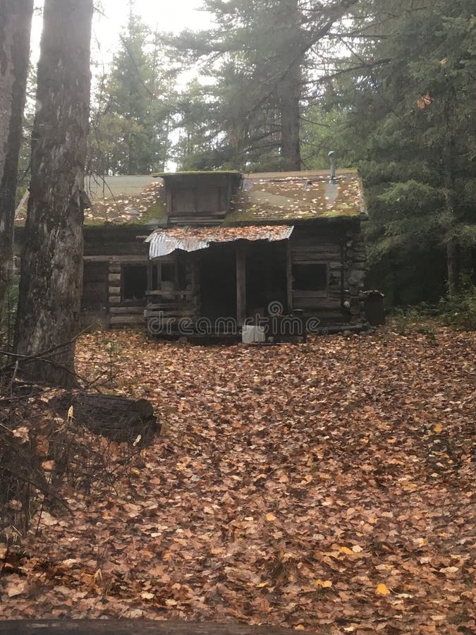 Bigfootâ€™s Cabin in stock photo. Image of bigfoot, house 177305868