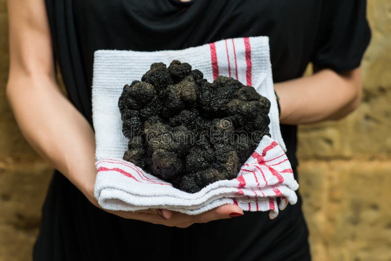 biggest-black-truffle-dordogne-perigord-france-woman-holding-50897122.jpg