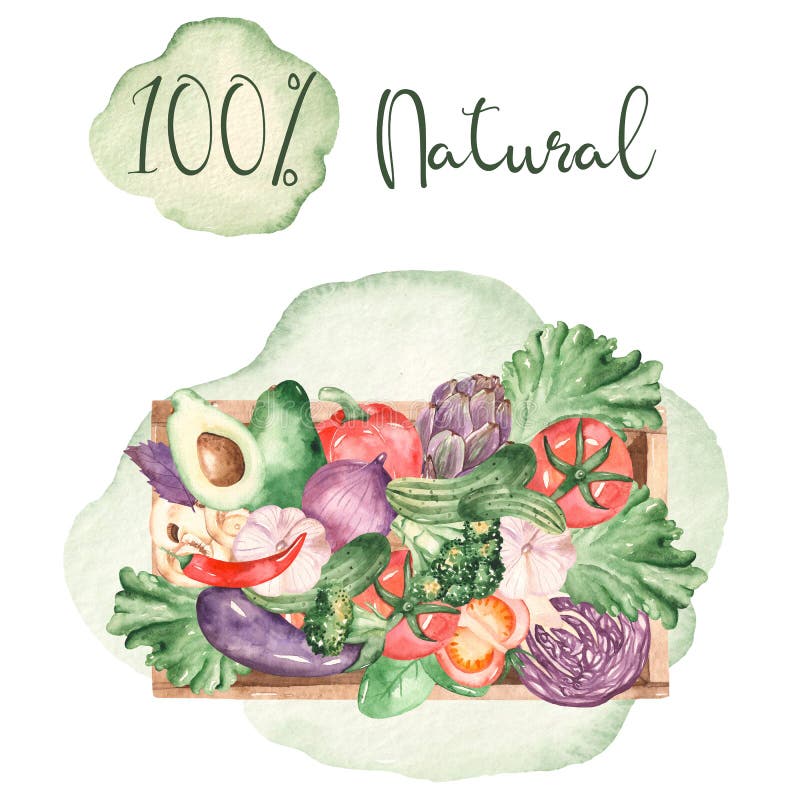 Biglietto di colore d'acqua con erbe fresche e verdure in una vista superiore di una scatola di legno royalty illustrazione gratis