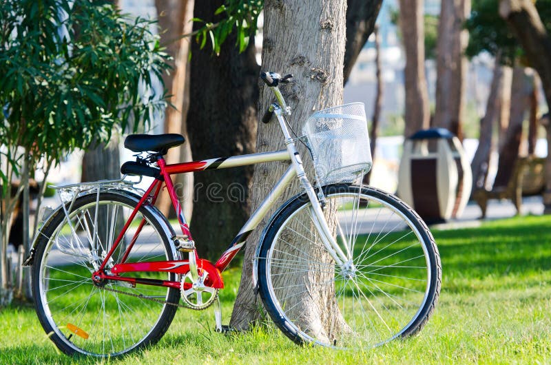 Bike bicycle in the park