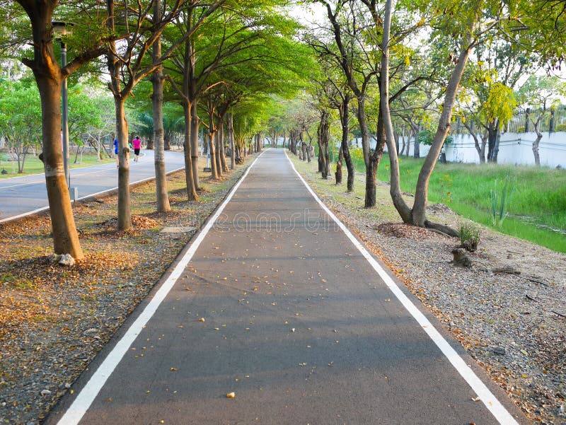 1,100 Jogging Cycling Photos Free & RoyaltyFree Stock Photos from