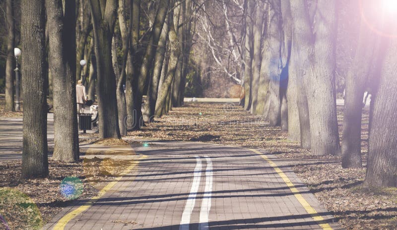 Bike path in the park stock image Bike path in the park stock image