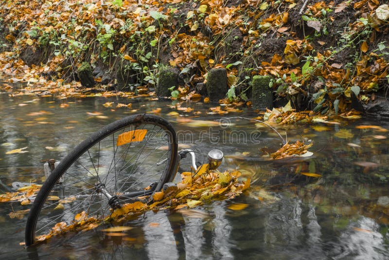 Bici gettato nel fiume.