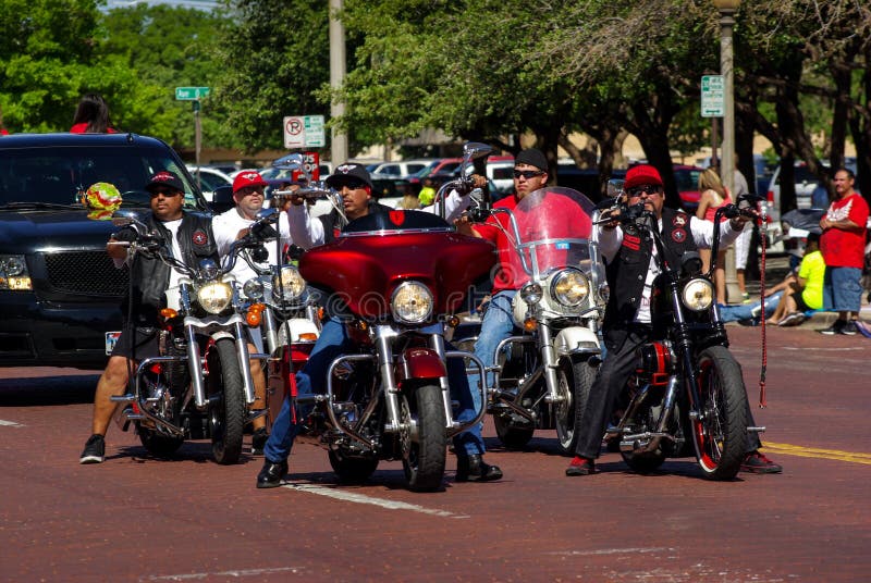 Bike Week Harleys