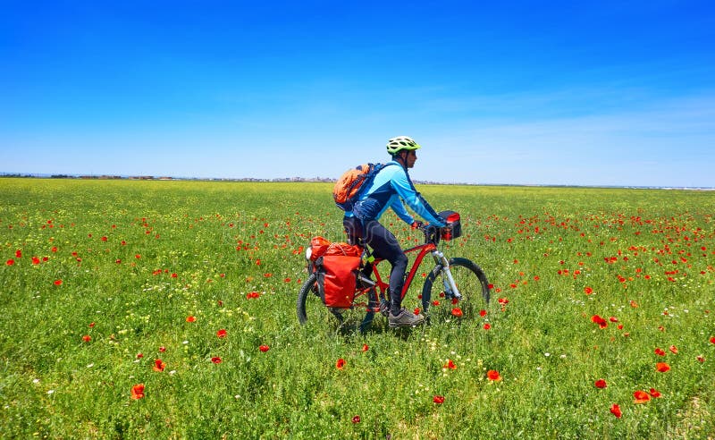 Biker by Camino de Santiago in bicycle royalty free stock photo