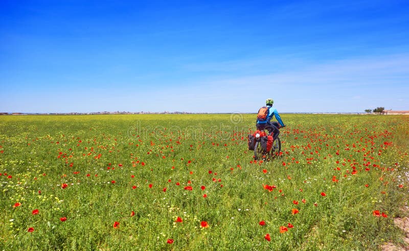 Biker by Camino de Santiago in bicycle stock images