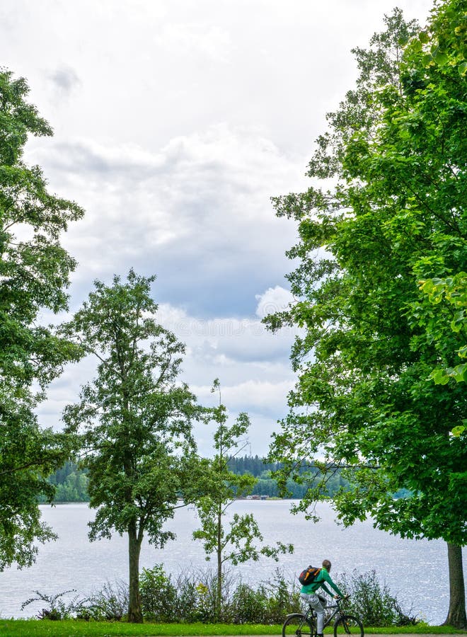 Biker in park along lake front stock image
