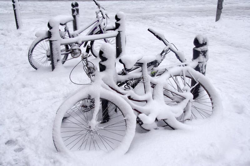 snow bikes for sale