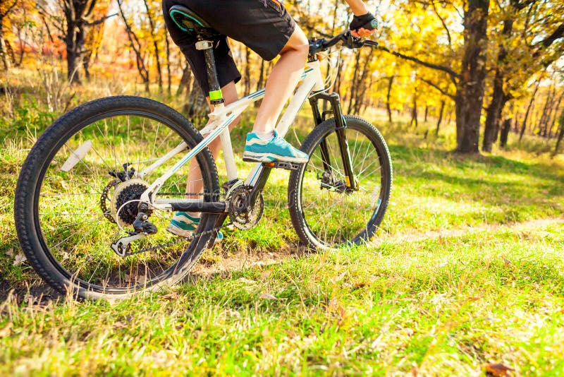 Biking na floresta fotografia de stock royalty free Biking na floresta fotografia de stock royalty free