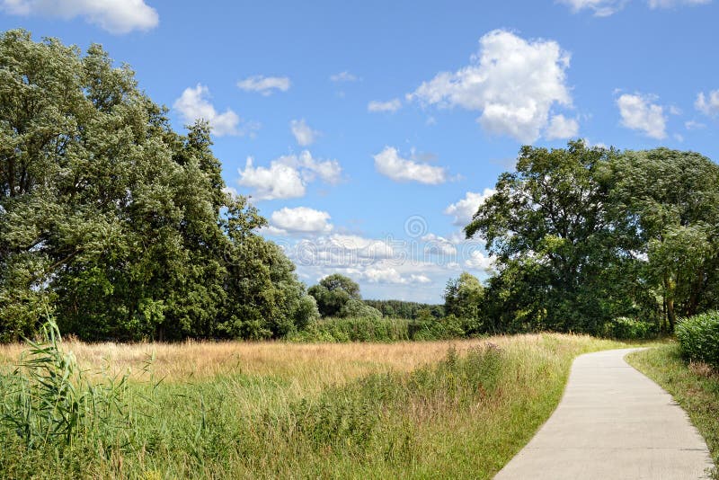 Biking Path Trail at Elbe River in Germany. Summer Time Stock Photo