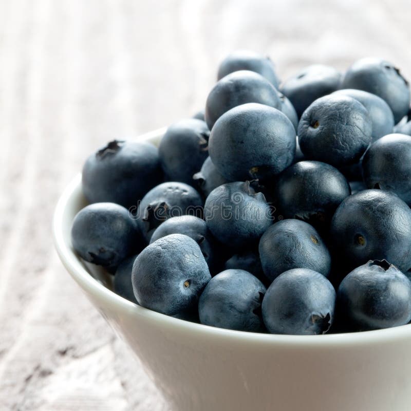 Bilberries stock image. Image of eating, blue, freshness 3131459
