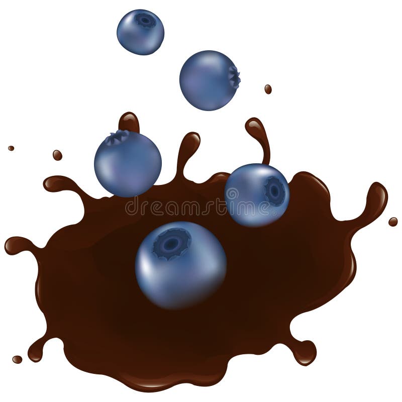 Bilberry In Chocolate Splash. Vector