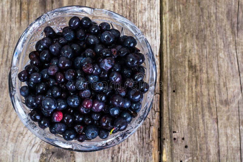 Bilberry in Crystal Bowl on Rustic Background