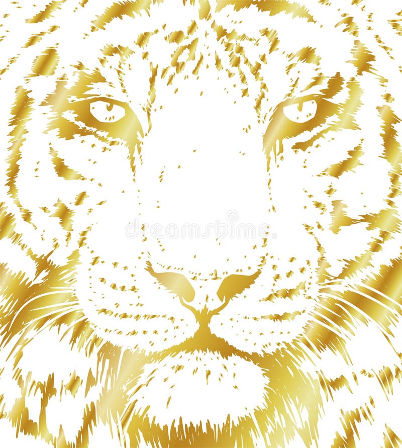 Bild av tigerporträtt. Detaljritning av vildkatthuvud. Majestic predator bengal art vektor illustrationer