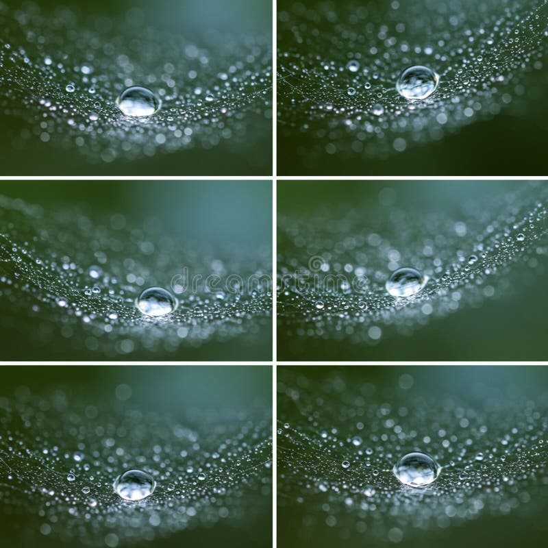 Bilder von Wassertröpfchen schließen, die auf einem empfindlichen Spinnennetz ruhen. Jeder Rahmen lizenzfreie abbildung