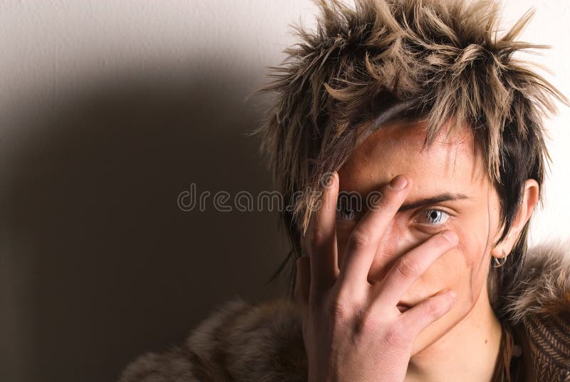 Bild av vargen royaltyfria bilder