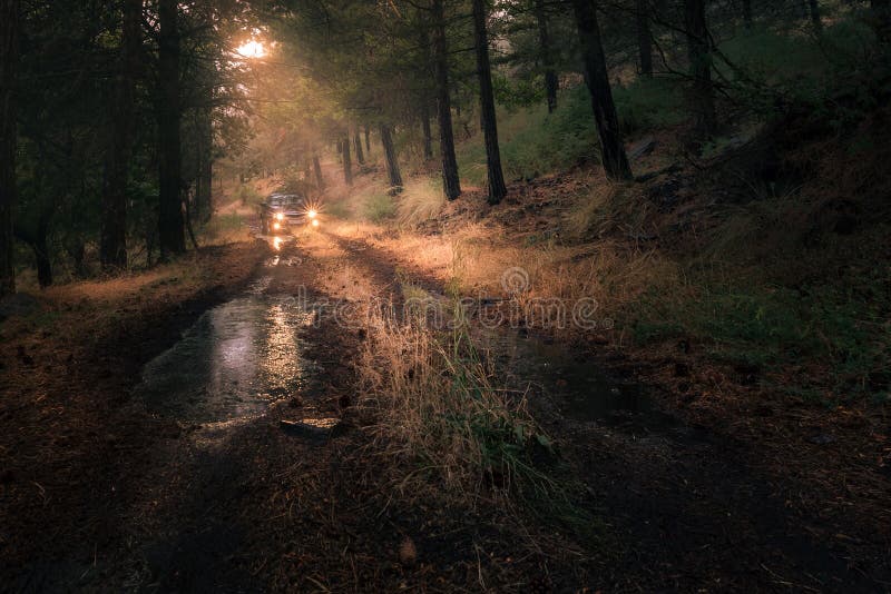 Bilkörning in i en skog efter hällregn arkivfoto Bilkörning in i en skog efter hällregn arkivfoto
