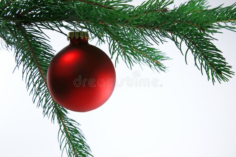 Bille de Noël sur l'arbre, fond blanc