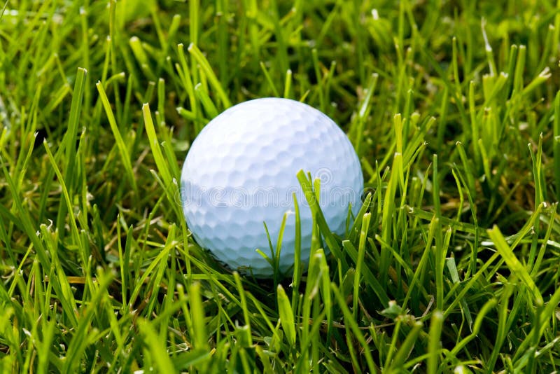 Bille et herbe de golf photo libre de droits Bille et herbe de golf photo libre de droits
