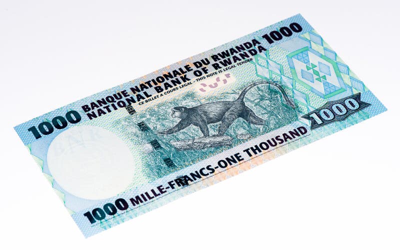 Billet de banque de devise de l'Afrique images stock Billet de banque de devise de l'Afrique images stock