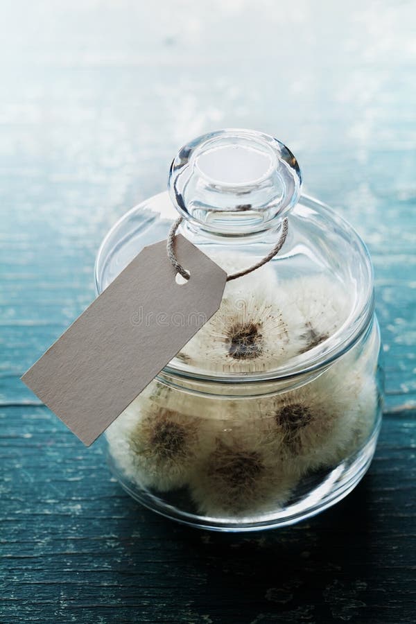 Bilă de sudură sau păpăpăpăpăpădie în borcanul cu strat de hârtie din material plastic rustic face un concept de dorință un cadou stock photography
