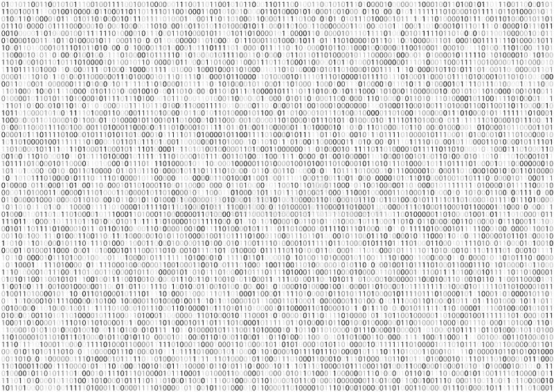 Binary Code Screen. Sheet of binary code program screen on white vector background. Vector binary code vectors