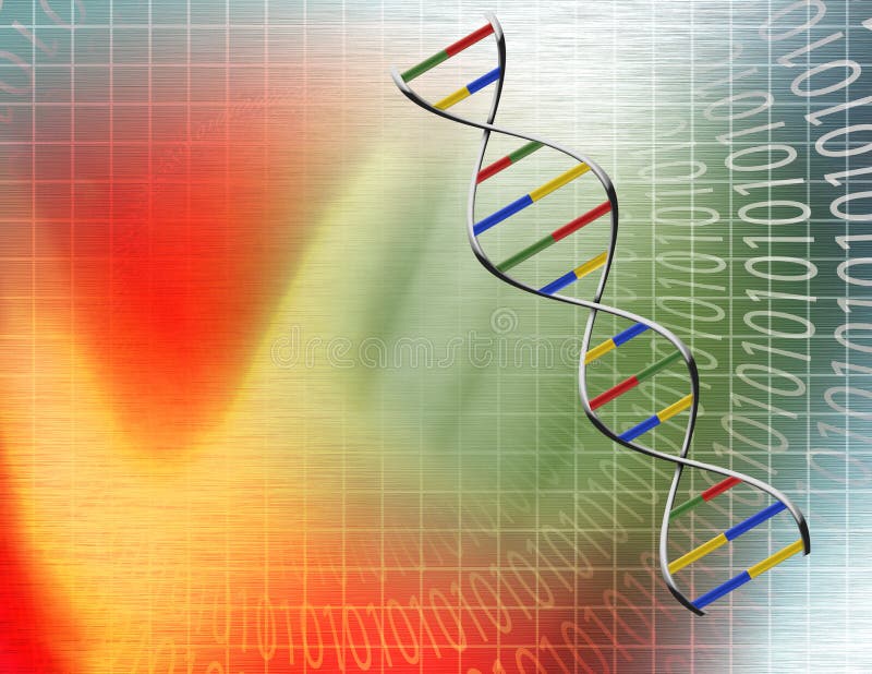 Binary tunnel and DNA