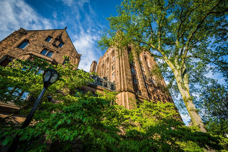 Bingham Hall, on the campus of Yale University, in New Haven, Connecticut. Bingham Hall, on the campus of Yale University, in New Haven, Connecticut.