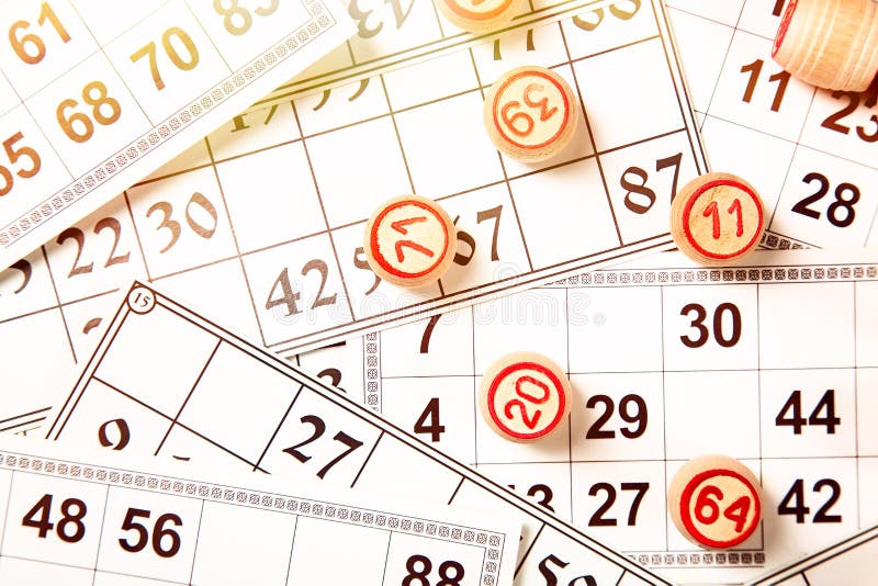 Bingo lotto game argos Bingo lotto game argos