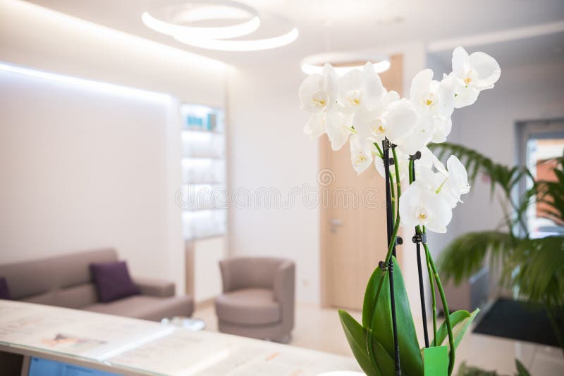 Binnenland van de kosmetiekkliniek Beige kleuren Witte bloemen op het bureau ontvangst