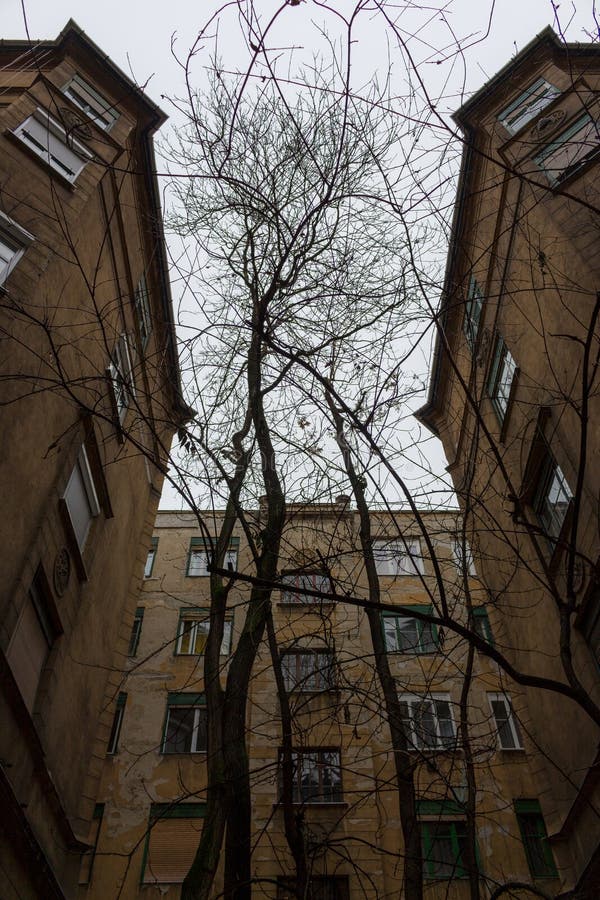 Binnenplaats met oude gebouwenvoorgevels en naakte boom in de middenbodemmening Buitenkant van oude huizen stock fotografie Binnenplaats met oude gebouwenvoorgevels en naakte boom in de middenbodemmening Buitenkant van oude huizen stock fotografie