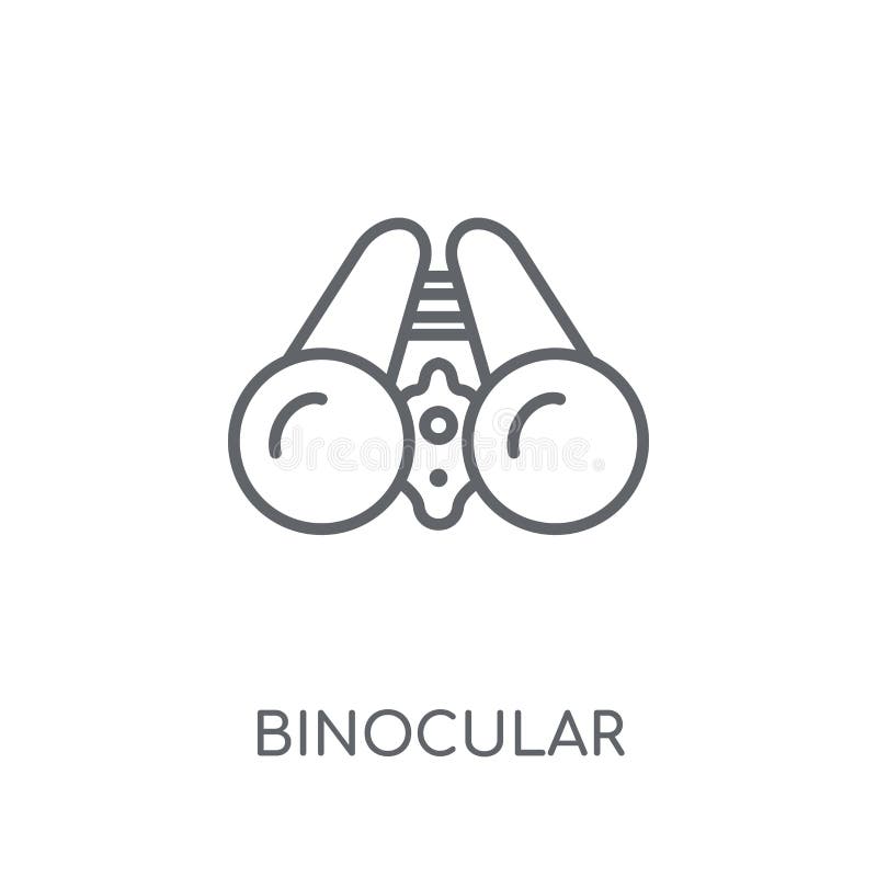 Binocular linear icon. Modern outline Binocular logo concept on stock illustration