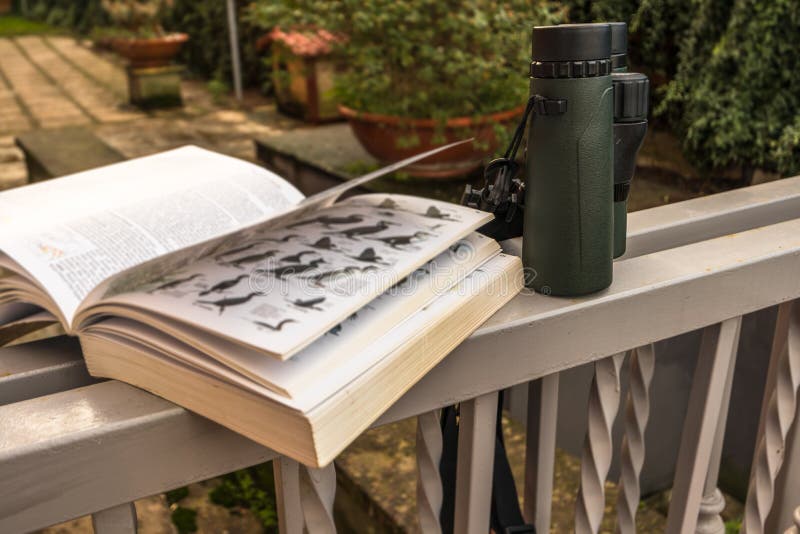 Binoculars and Bird Guide stock photo. Image of birds 122494880