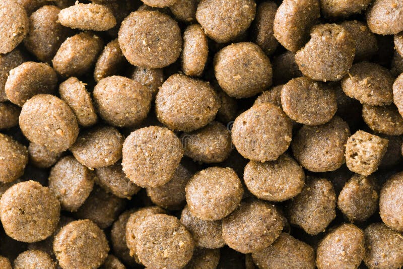 Bio food for dogs stock photo. Image of cats, doggie 126297300