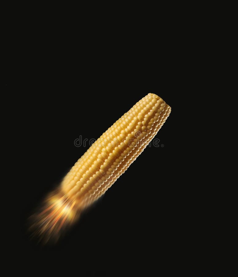 Bio Fuel Corn Cob stock photo. Image of vegetable, concept 10251372