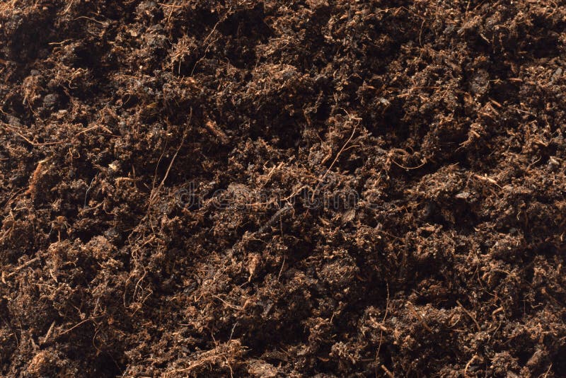 15,846 Substrate Stock Photos Free & RoyaltyFree Stock Photos from