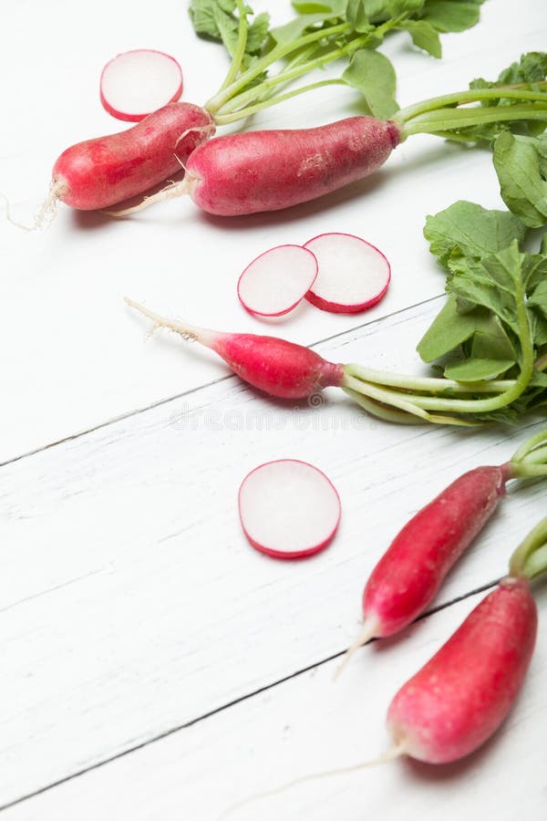 Bio- pianta di ravanello rosso del mazzo, fine di agricoltura su fotografie stock libere da diritti Bio- pianta di ravanello rosso del mazzo, fine di agricoltura su fotografie stock libere da diritti