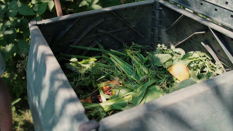 Bio recipiente de desperdícios orgânicos