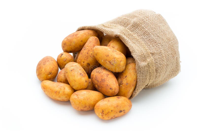 A Bio Russet Potato Isolated White Background Stock Photo Image of
