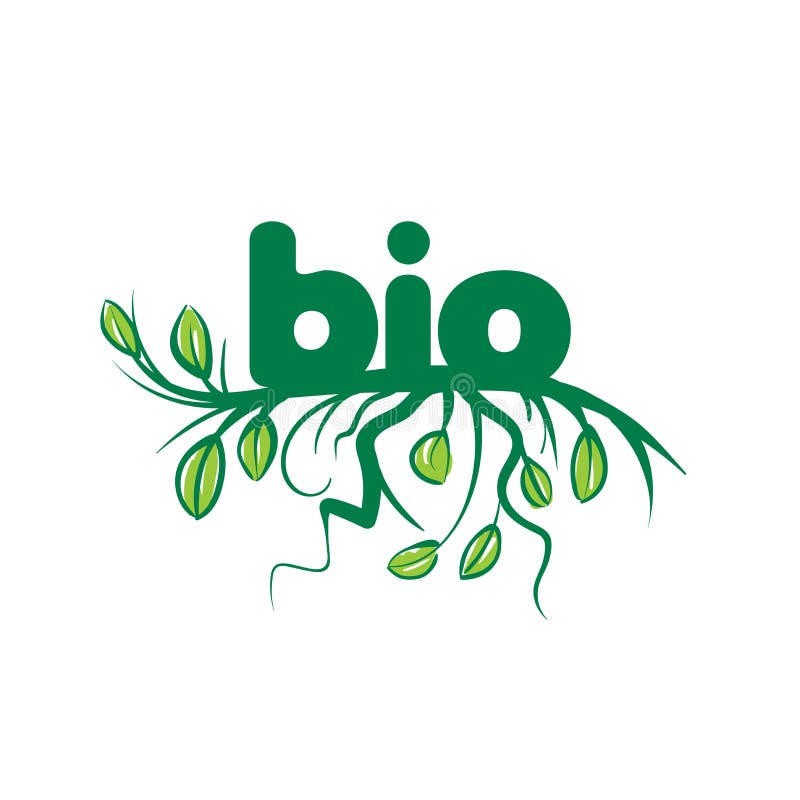 Bio Sign in the Form of Leaves and Grass. Vector Illustration on White ...