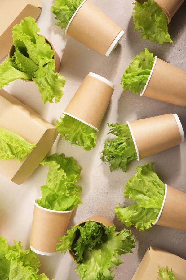 Biodegradable tableware and greens on light background. Secondary processing. The concept of zero waste.