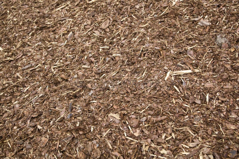 Biodegradable waste stock photo. Image of environmental 10494892