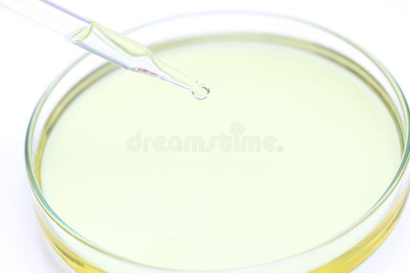 Biodiesel Experiments from Natural Raw Materials in the Laboratory Stock Image Image of