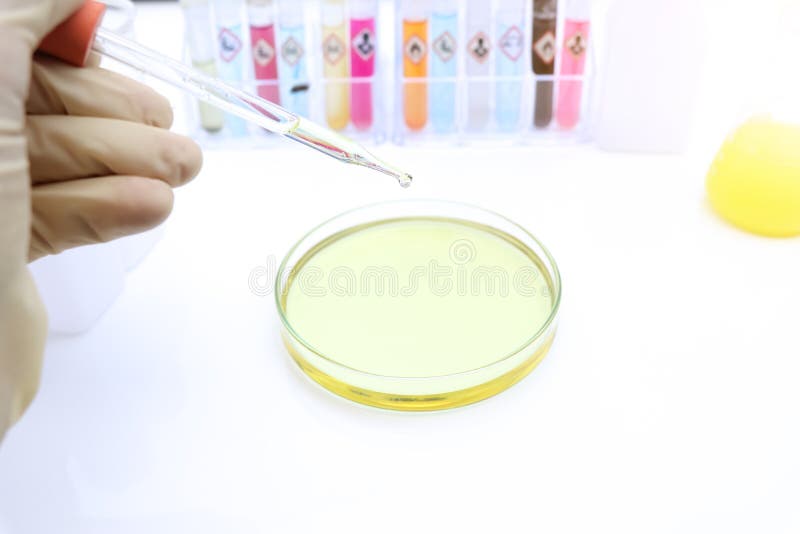 Biodiesel Experiments from Natural Raw Materials in the Laboratory
